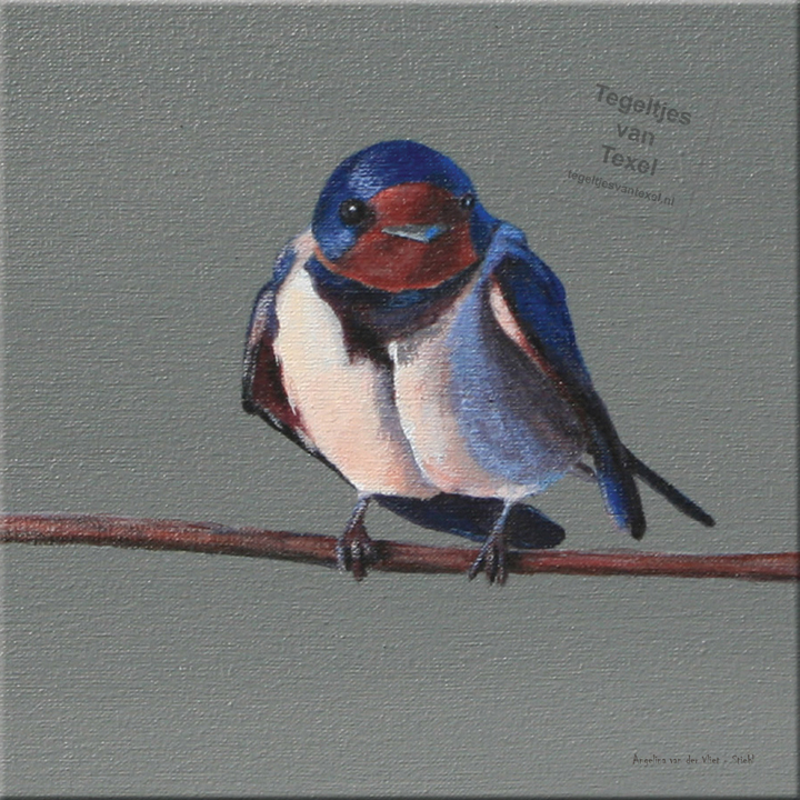 Tegeltjes van Texel met Boerenzwaluw door Angelina van der Vliet - Stiehl